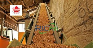 Wood Pellet Certification For Canada Market