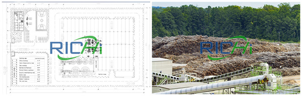 20T/H reasonable design large biomass pellet production line for wood pellets