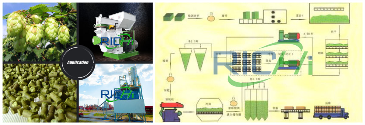  hop pellet mill plant cost