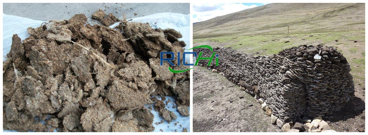 cow dung and chicken manure pellets fertilizer