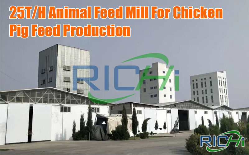 cost of setting up an animal feed making plant in China