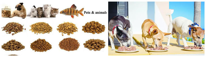 Thailand pet feed plant supplier