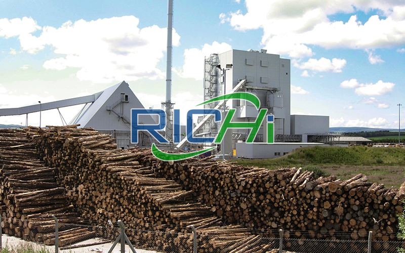 Iceland 1-1.5 T/H Wood Pellet Line