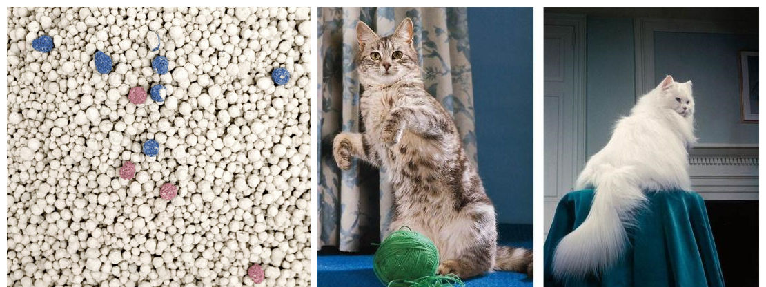 cat litter vs pellets