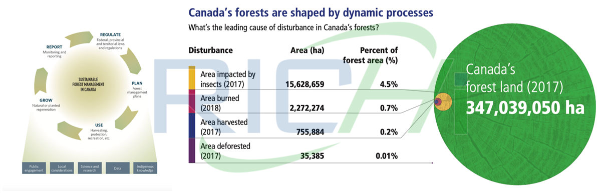 Wood pellet standard for wood pellets suppliers in Canada