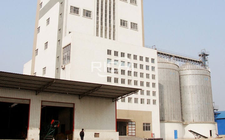 Hong Kong 3-4T/H Ruminant Cattle Feed Plant Project