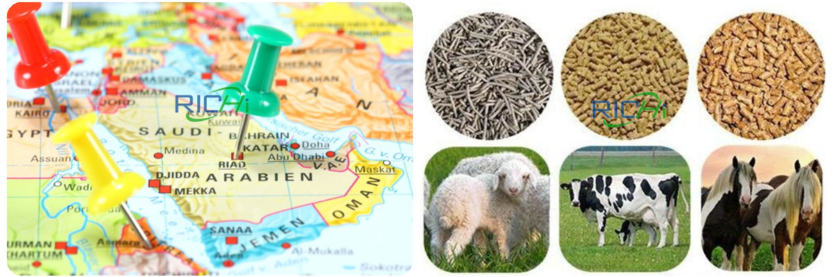 Saudi Arabia animal feed production potential market