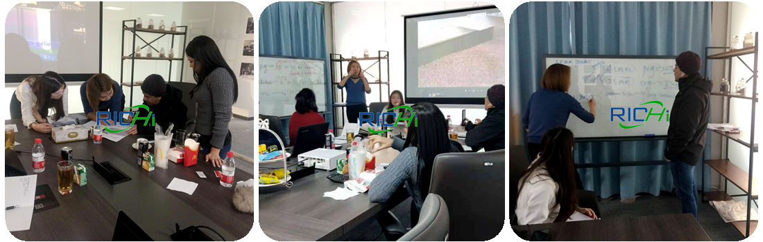 Ring die cattle feed pellet maker project customer visit