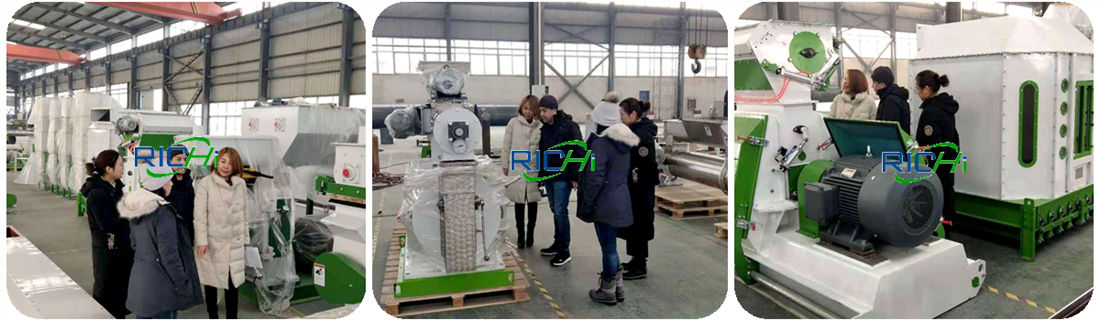 Ring die 6mm cattle feed pellet equipment project customer visit