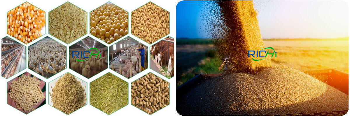 Potential livestock feed production in Mauritania