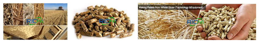 rice straw pellet machine price
