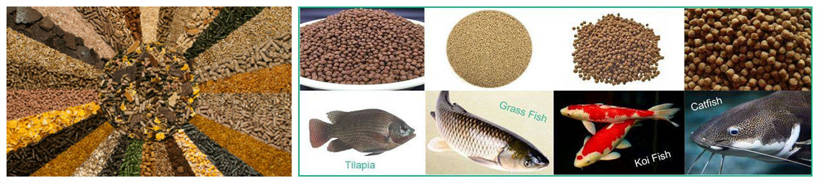 fish feed making small machine price