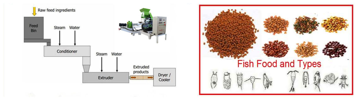 steam extruded fish feed machine turkey