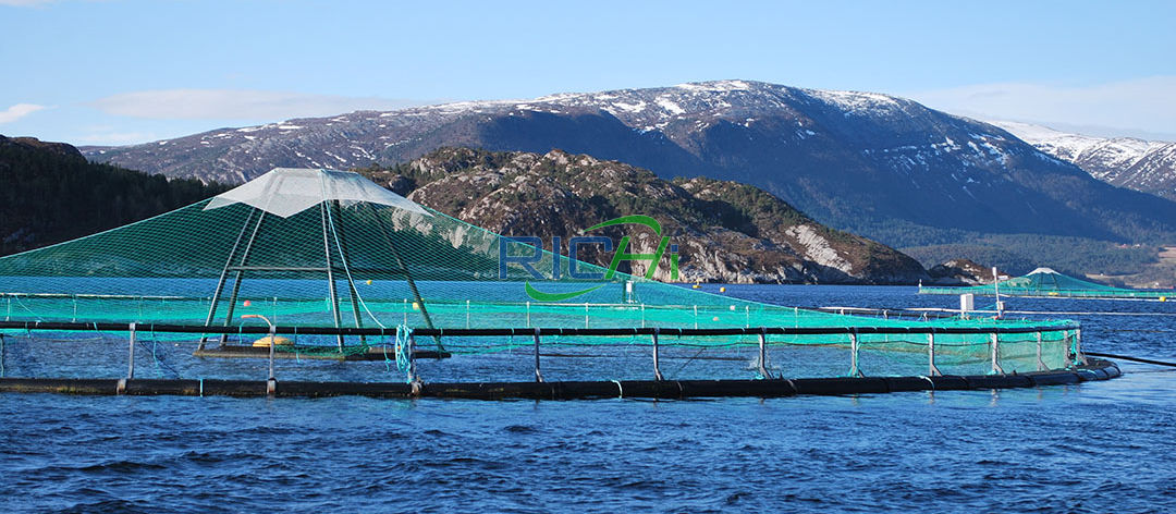 fish floating feed machine