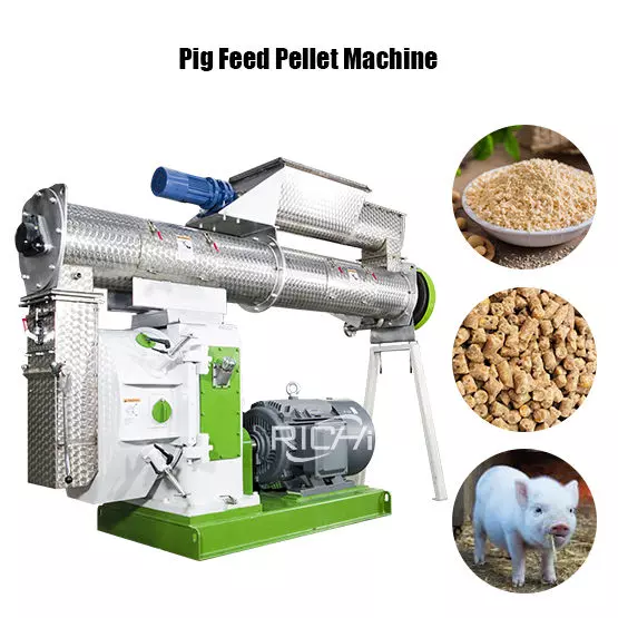 Animal Feed Pellet Machine 