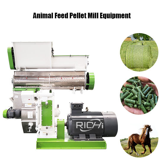 Animal Feed Pellet Mill Equipment