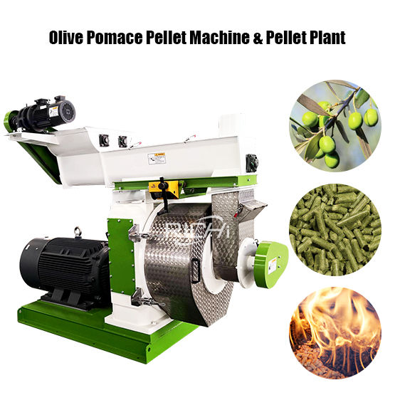 Olive Pomace Pellet Machine & Pellet Plant
