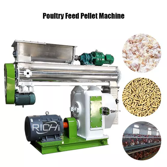 Poultry Feed Pellet Machine