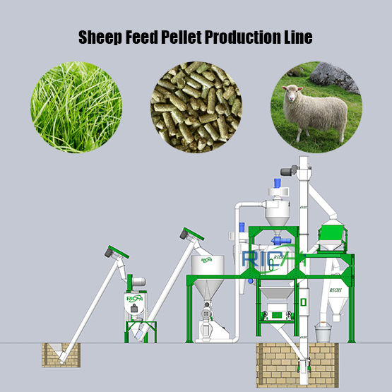 Sheep Feed Pellet Production Line