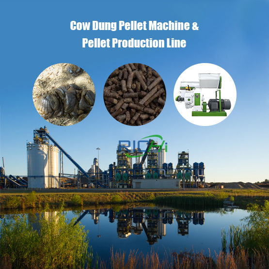 Cow Dung Pellet Machine & Pellet Production Line