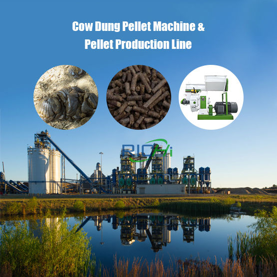 Cow Dung Pellet Making Machine