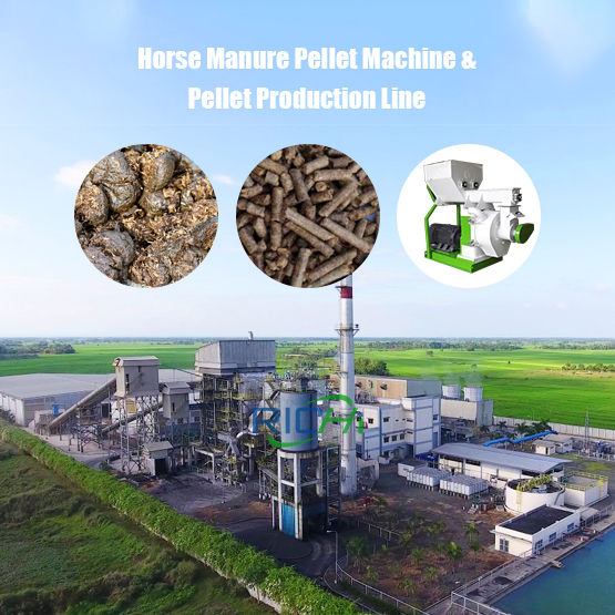 Horse Manure Pellet Machine & Pellet Production Line