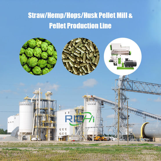 Straw Pellet Machine Making Rice Straw And Wheat Straw Pellet