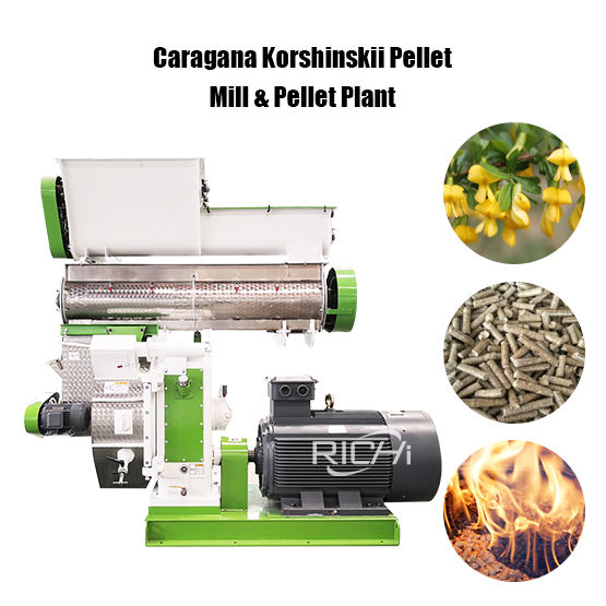 Caragana Korshinskii Pellet Mill & Pellet Plant