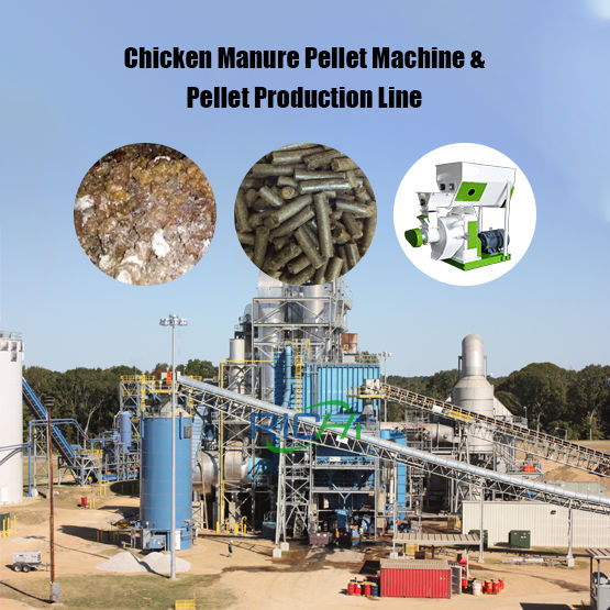 Chicken Manure Pellet Machine & Pellet Production Line