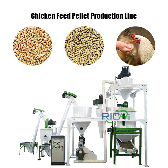 Chicken Feed Pellet Production Line