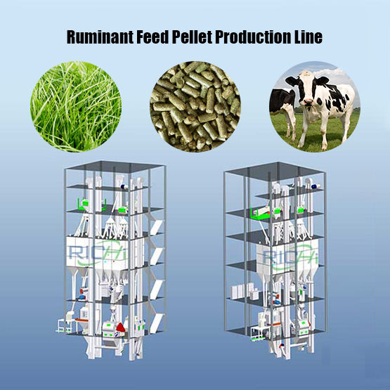Ruminant Feed Pellet Production Line
