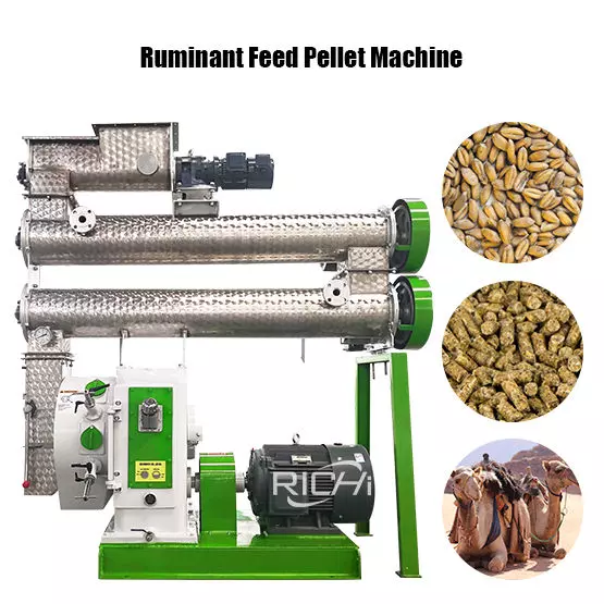 Ruminant Feed Pellet Machine