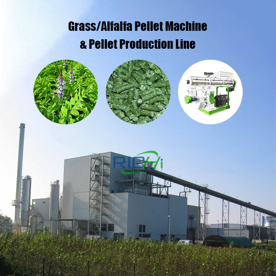 Grass/Alfalfa Pellet Machine & Pellet Production Line