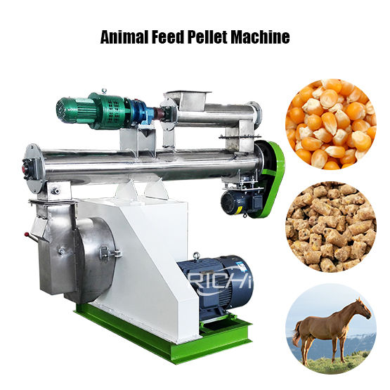 Animal Feed Pellet Machine