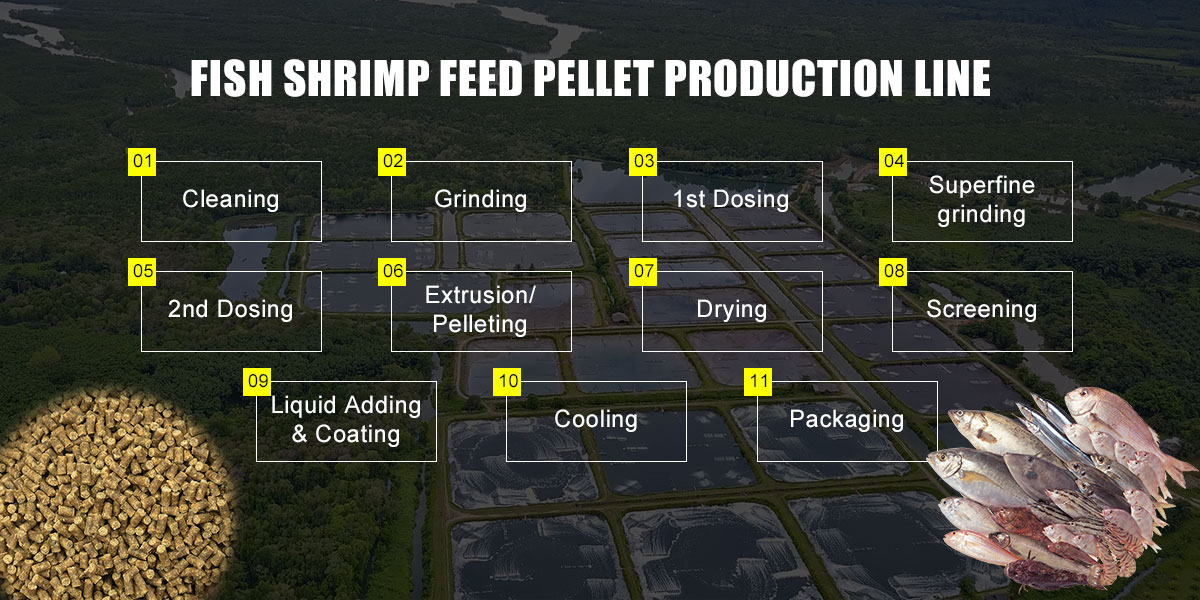 shrimp feed companies production process