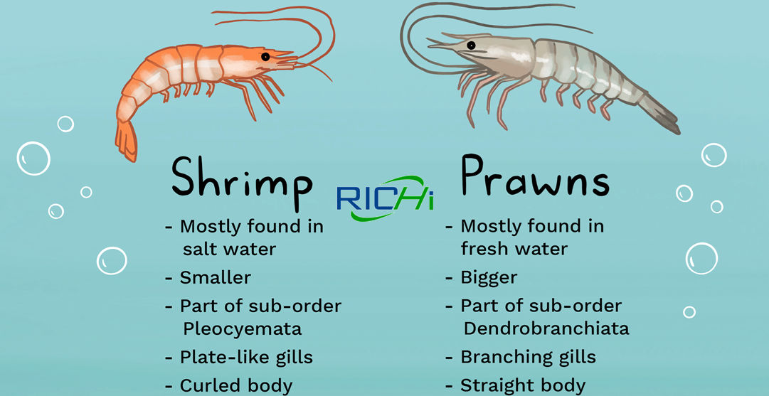 Shrimp Feed Pellet Machine - pellet-richi.com