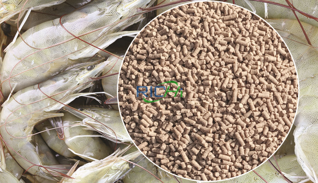 shrimp feed making machine