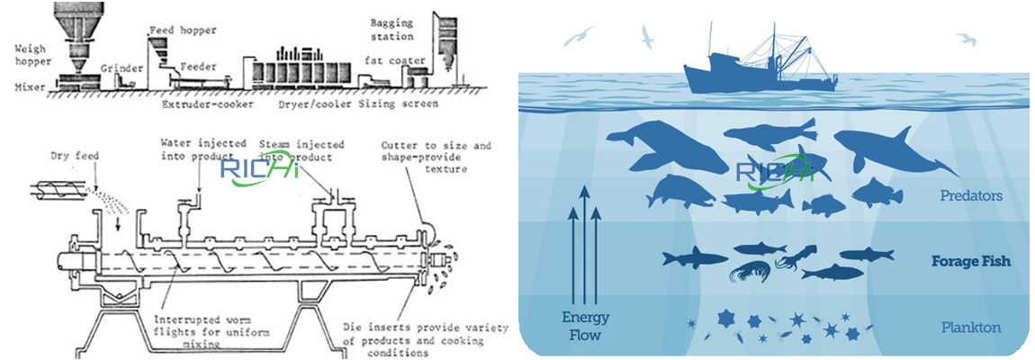 floating fish feed production process