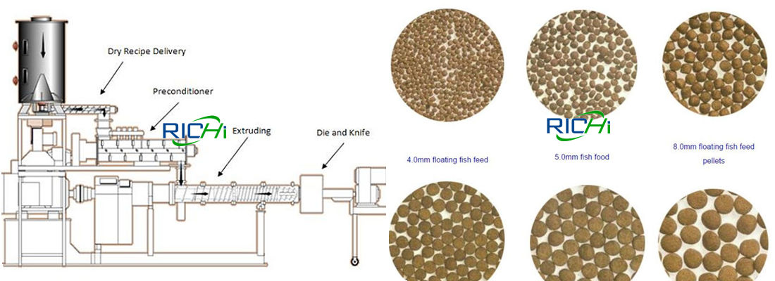 fish feed pellet making machine