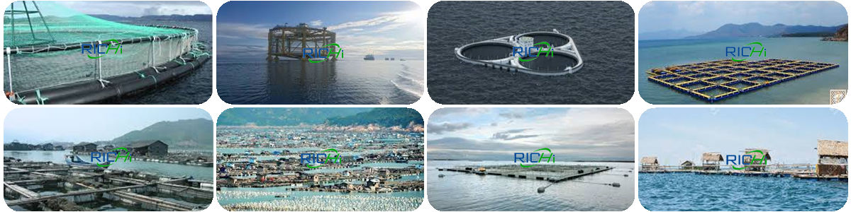 how to manufacture fish feed