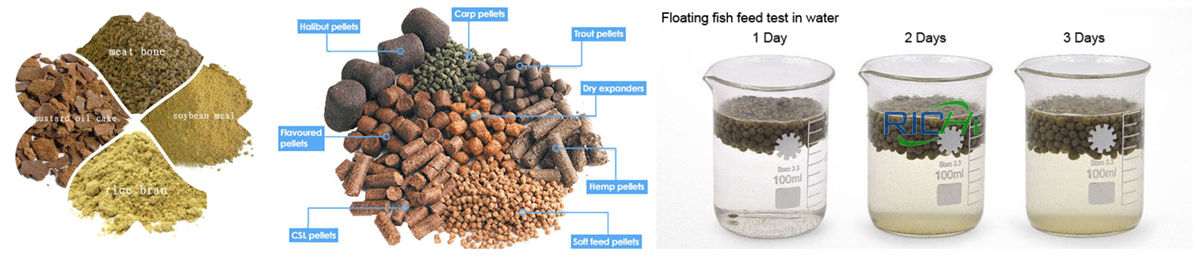 Batching and mixing section in complete fish food production line