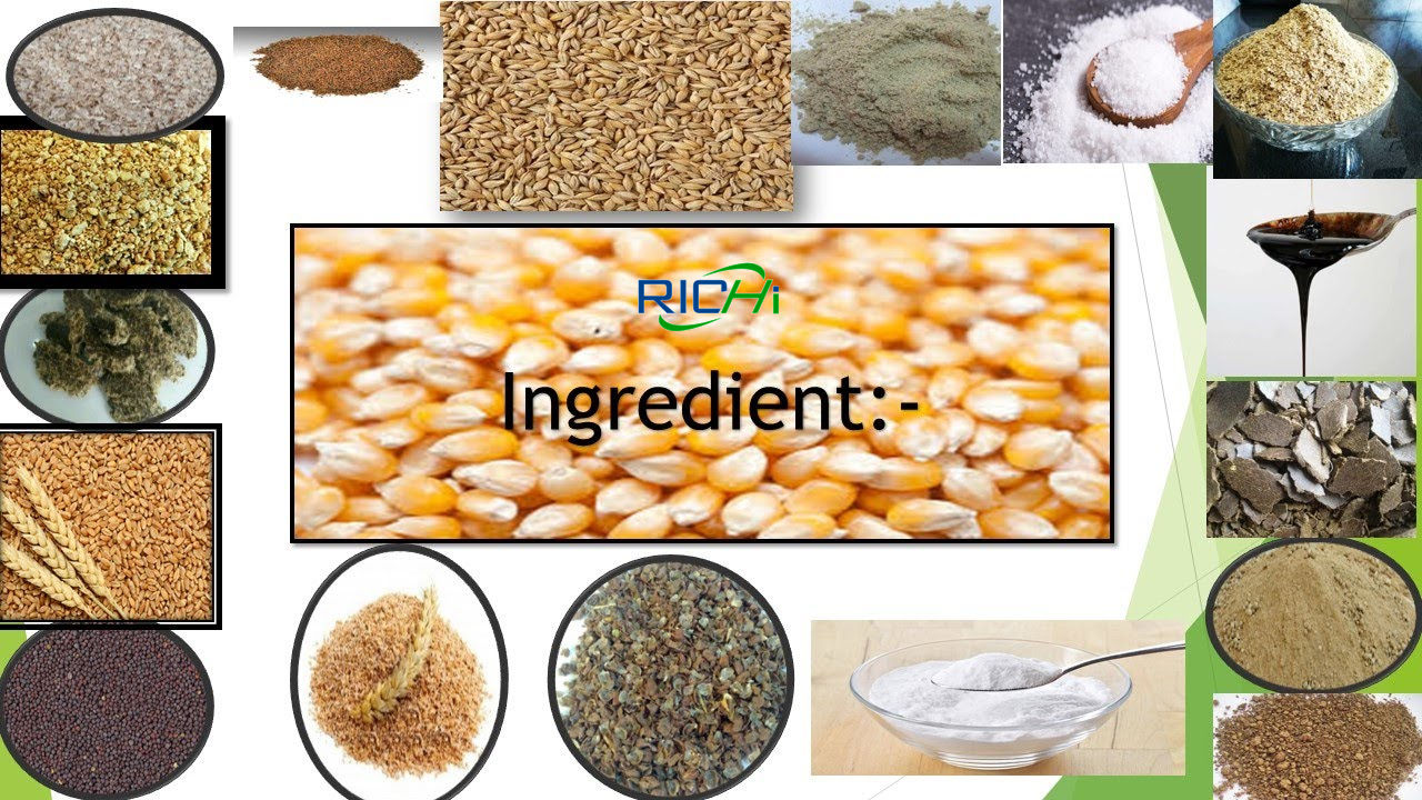 how to produce livestock feed