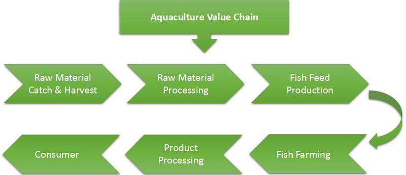 fish feed production process flow of the expanded fish feed production line
