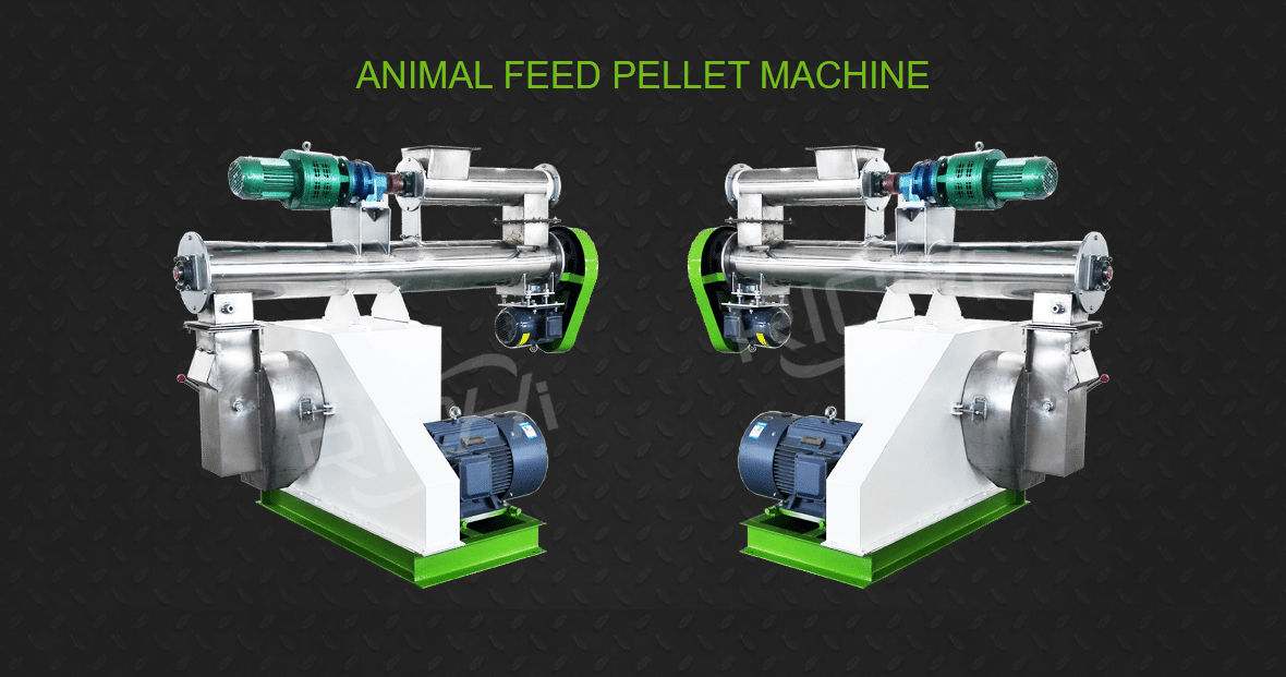 Chicken Feed Pelleting Process For 1-2T/H Chicken Manufacturing Plant Gambia