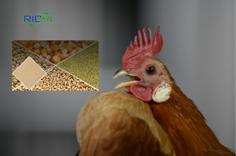 Common Forms of Poultry Feed
