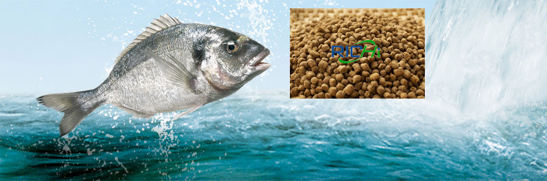 fish food manufacturing machines