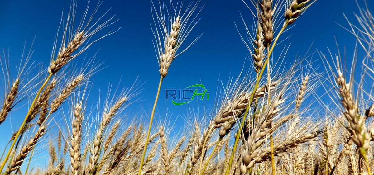 The prospect of straw pellets made by straw pellet machine