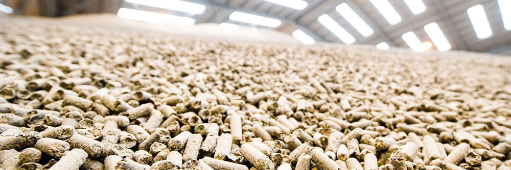 chicken cattle pig feed pellet machine making machine price
