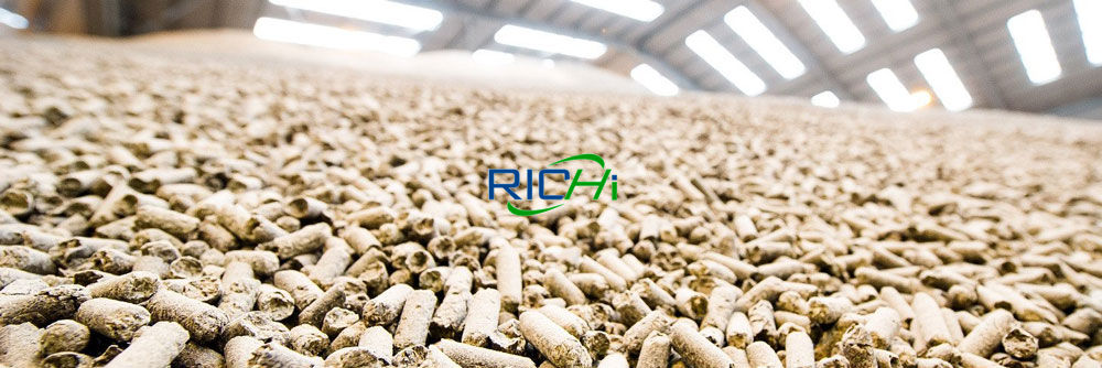 animal and poultry feed processing project 