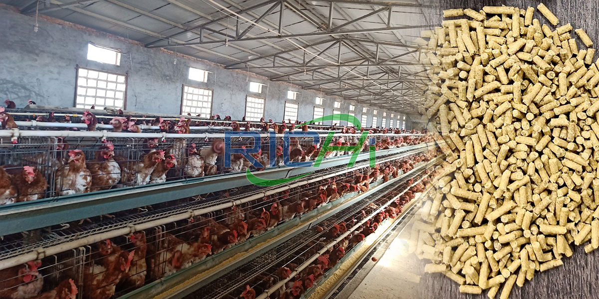 pellete machines for feed production of poultry